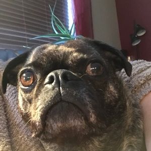 Meet your Posher, Nancy